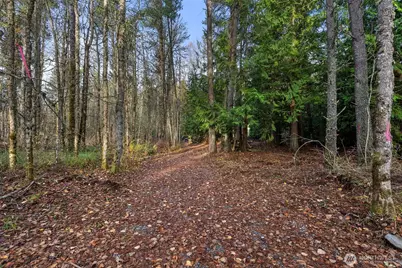 15718 153rd Avenue SE, Yelm, WA 98597 - Photo 5