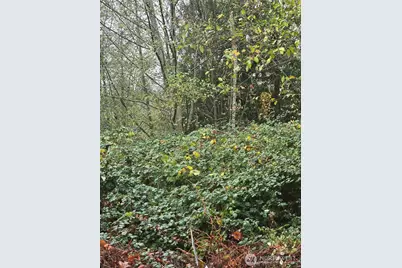 4 SE Sinclair View Drive, Port Orchard, WA 98366 - Photo 3