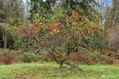 12321 155th Avenue NE, Arlington, WA 98223 - Photo 7