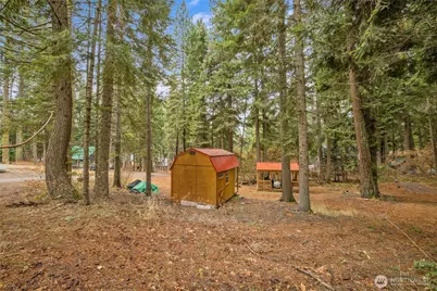 1211 Pine Loch Sun Drive, Ronald, WA 98940 - Photo 9