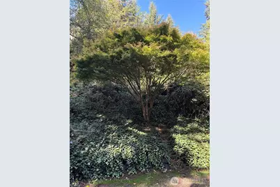 22290 Veteran Street NE, Poulsbo, WA 98370 - Photo 37
