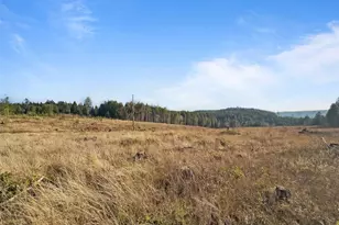 597 Brown Rd E, Adna, WA 98522 - Photo 7