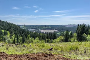 597 Brown Rd E, Adna, WA 98522 - Photo 9