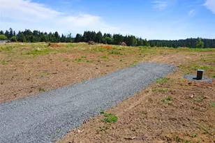 597 Brown Rd E, Adna, WA 98522 - Photo 5