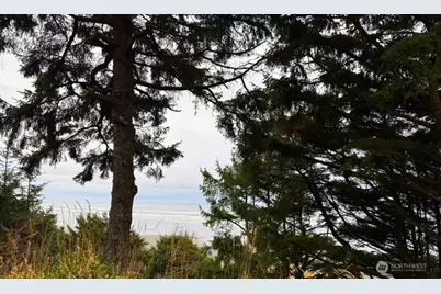 4659 State Route 109, Moclips, WA 98562 - Photo 7