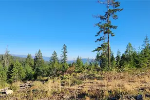 190 Skyline Rdg Dr Lot 55, Cle Elum, WA 98922 - Photo 25