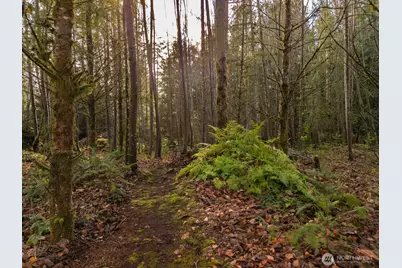9524 Freedom Place, Blaine, WA 98230 - Photo 25