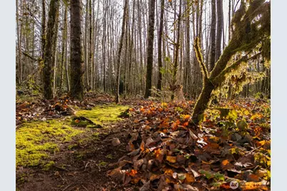 9524 Freedom Place, Blaine, WA 98230 - Photo 21