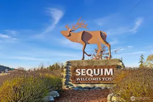 41 Shiloh Ln, Sequim, WA 98382 - Photo 33