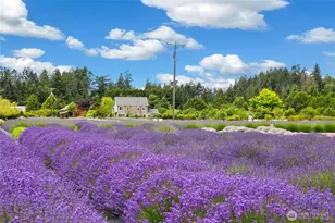 41 Shiloh Ln, Sequim, WA 98382 - Photo 37