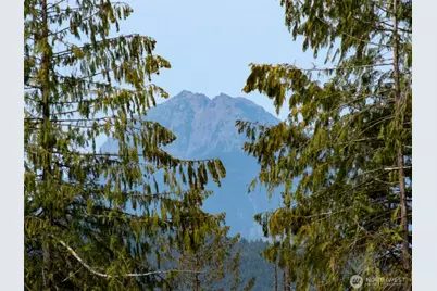 319 W Reservoir Road, Sequim, WA 98382 - Photo 3