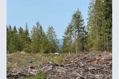 319 W Reservoir Road, Sequim, WA 98382 - Photo 31