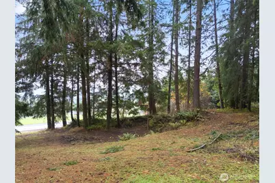 400 Ogden Road, Castle Rock, WA 98611 - Photo 29