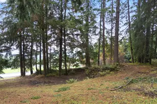 400 Ogden Rd, Castle Rock, WA 98611 - Photo 29