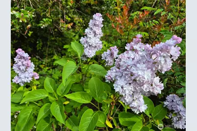 5505 Oyster Bay Road NW, Olympia, WA 98502 - Photo 29