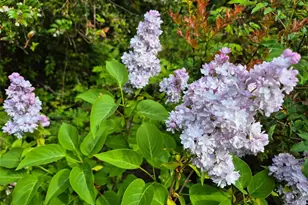 5505 Oyster Bay Rd NW, Olympia, WA 98502 - Photo 29