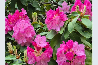 5505 Oyster Bay Road NW, Olympia, WA 98502 - Photo 33