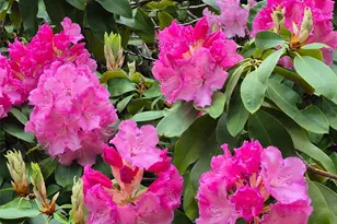 5505 Oyster Bay Rd NW, Olympia, WA 98502 - Photo 33