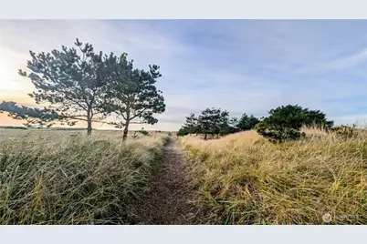 33612 I Street, Ocean Park, WA 98640 - Photo 33