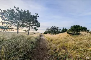 33612 I St, Ocean Park, WA 98640 - Photo 33