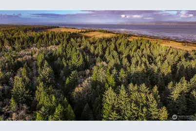 13 357th Lane, Ocean Park, WA 98640 - Photo 3