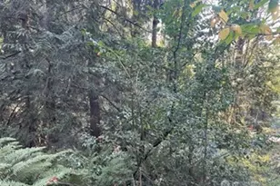 0 Melcher St, Port Orchard, WA 98366 - Photo 1