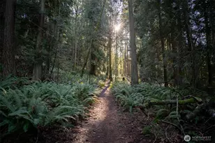 1120 Birch Falls Dr, Bellingham, WA 98229 - Photo 33