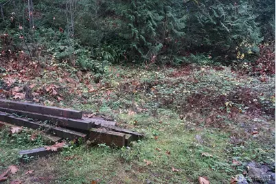 4703 Ames Lake Carnation Rd NE, Redmond, WA 98053 - Photo 7