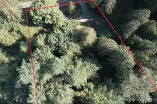 4703 Ames Lake-Carnation Rd NE, Redmond, WA 98053 - Photo 1