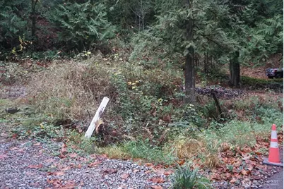 4703 Ames Lake Carnation Rd NE, Redmond, WA 98053 - Photo 3