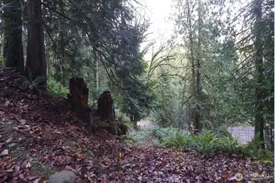 4703 Ames Lake Carnation Rd NE, Redmond, WA 98053 - Photo 13