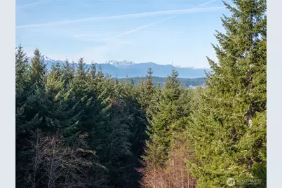 621 E Morris Creek Drive, Belfair, WA 98528 - Photo 33