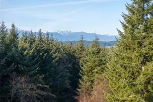 621 E Morris Creek Dr, Belfair, WA 98528 - Photo 33