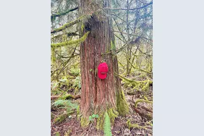 298 Boone Road, Toledo, WA 98591 - Photo 5