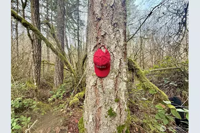 298 Boone Road, Toledo, WA 98591 - Photo 11