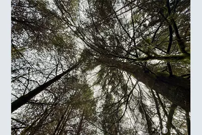 298 Boone Road, Toledo, WA 98591 - Photo 29