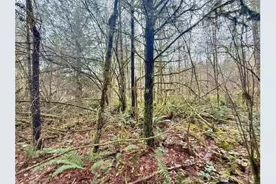 298 Boone Road, Toledo, WA 98591 - Photo 35