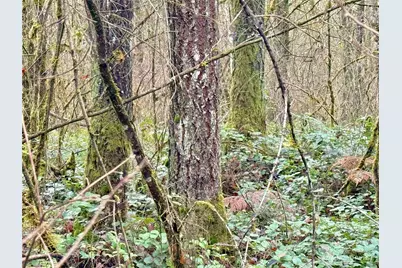 298 Boone Road, Toledo, WA 98591 - Photo 13