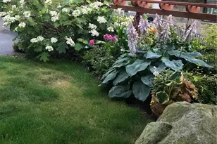 4322 29th Ave W, Seattle, WA 98199 - Photo 37