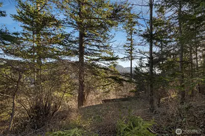 0 Nhn Cliffhouse Court, Orcas Island, WA 98245 - Photo 11