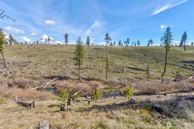 0 Lot 1 2 Box Canyon Road, Goldendale, WA 98620 - Photo 11
