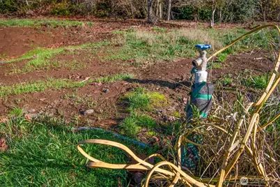 110 Lenora Lane, Kelso, WA 98626 - Photo 9