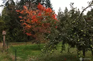 12620 Old Military Rd, Poulsbo, WA 98370 - Photo 31