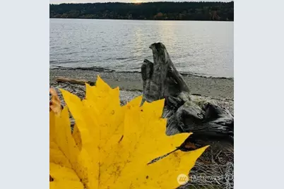 27728 Manzanita Beach Rd SW, Vashon, WA 98070 - Photo 5