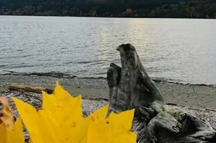 27728 Manzanita Beach Rd SW, Vashon, WA 98070 - Photo 5