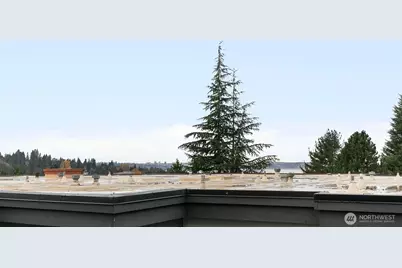 3204 81st Place SE #B202, Mercer Island, WA 98040 - Photo 21
