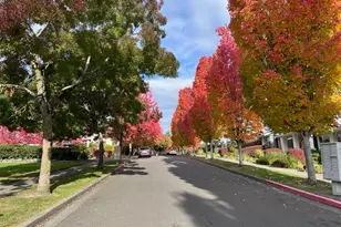 7020 Holly Park Dr S, Seattle, WA 98118 - Photo 15