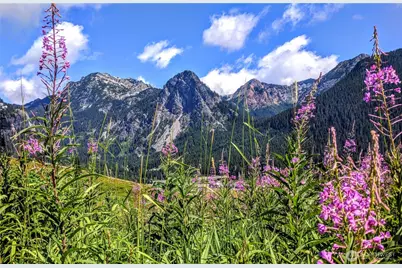 7 Saint Anton Street, Snoqualmie Pass, WA 98068 - Photo 31