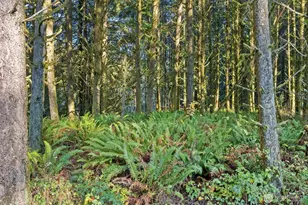 1895 N Fork Rd, Chehalis, WA 98532 - Photo 5