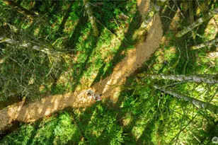 19680 Noll Rd, Poulsbo, WA 98370 - Photo 35